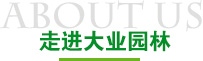 走进888游戏集团大厅
