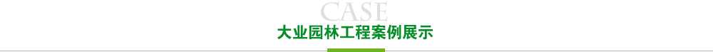 888游戏集团大厅工程案例展示